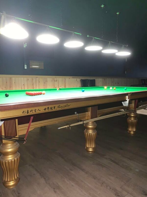 Occasion Snooker 12FT en parfait état – Image 5